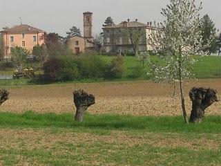 Cabriolo, deforestata guadagna in visibilità