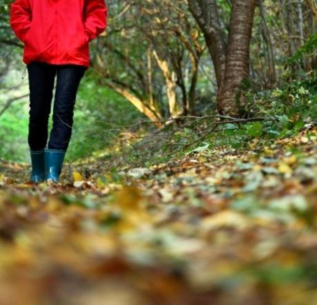 IL CONTATTO CON LA NATURA CONTRO LA DEPRESSIONE