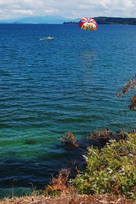 5 laghi da non perdersi in Nuova Zelanda