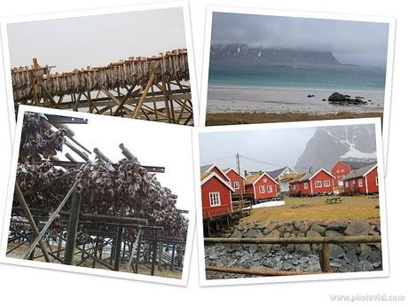 Le isole Lofoten e la scoperta del vero Stoccafisso di Norvegia.