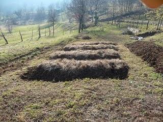 Un pezzettino alla volta si fa l'orto...