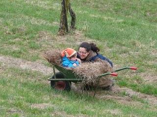 Un pezzettino alla volta si fa l'orto...