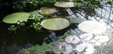 Windows on the world