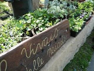 Vivaio delle Naiadi _ novità 2011