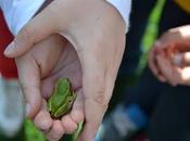 pranzo alunni come famiglia,