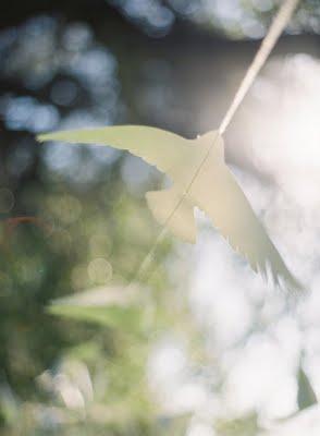 Un volo di uccelli di carta...