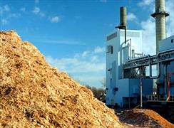 La biomassa: una fonte rinnovabile INSOSTENIBILE per colpa del libero mercato
