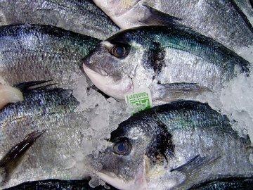 disastro fukushima cibo contaminato