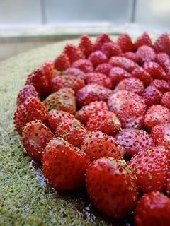 TORTA FINANZIERE AL MATCHA e VANIGLIA CON FRAGOLE DI BOSCO