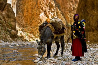 Marocco: uno sviluppo rurale è prioritario.