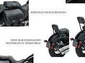 Accessori nuovo Softail Blackline