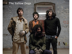 THE YELLOW DOGS