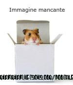 Biscotti al cioccolato