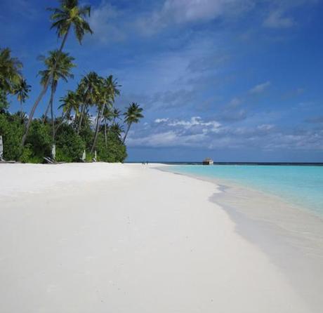 LE MALDIVE: UN PARADISO TERRESTRE PER LA LUNA DI MIELE