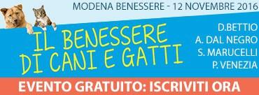 Veterinaria: un cambiamento di rotta è necessario -Il Blog del Gruppo Editoriale Macro modena benessere animali