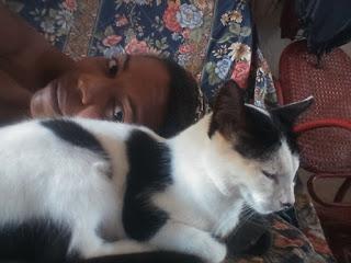 Adottare un (altro) gatto: la famiglia pelosa cresce Adottare un (altro) gatto: la famiglia pelosa cresce