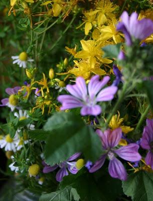 Di erbe, di fiori e... di magie estive Di erbe, di fiori e... di magie estive