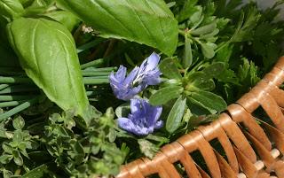 Di erbe, di fiori e... di magie estive Di erbe, di fiori e... di magie estive
