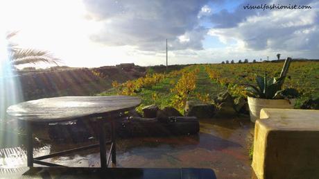Pantelleria d'inverno (o la ami o la odi), storia di una ragazza al suo primo Passitaly Pantelleria d'inverno (o la ami o la odi), storia di una ragazza al suo primo Passitaly
