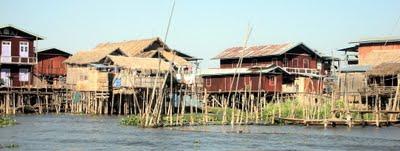 il lago Inle e i gabbiani smiling