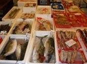 Onu: alimenti provengono Giappone sono sicuri