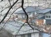 Giappone Tsunami (11.03.11)