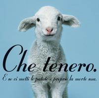 Una Pasqua senza agnello