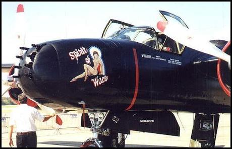 Nose Art