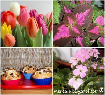 Giardinaggio e muffin al cocco di una domenica calda