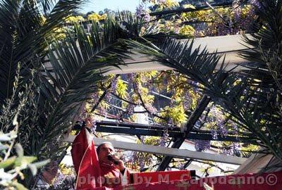 Domenica delle Palme 2011 a Positano