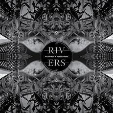 wildbirds e peacedrums cd.jpg