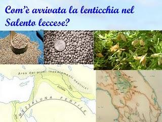 Com’è arrivata la lenticchia nel Salento leccese?