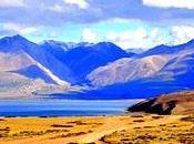 Patrick Woodhead,Il tempio degli eterni, Newton, THRILLER