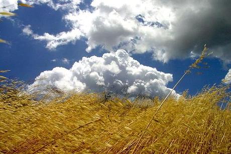 Grano e spade, un racconto nel racconto