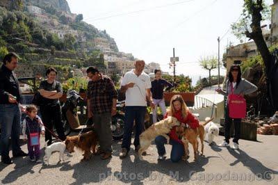 Proteggiamo i nostri amici dalla Leismaniosi