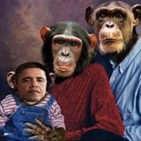 Obama - Scimpanzé sconvolge l'America.