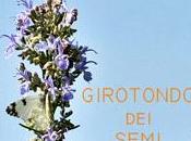 girotondo semi