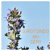 IL GIROTONDO DEI SEMI