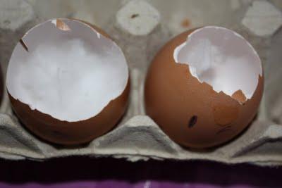 Germogliano le...uova!!!!