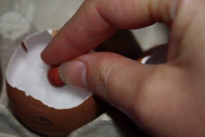 Germogliano le...uova!!!!