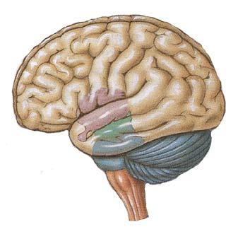 Storia recente di magistratti sedotti e abbandonati