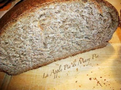 Pane integrale alla birra