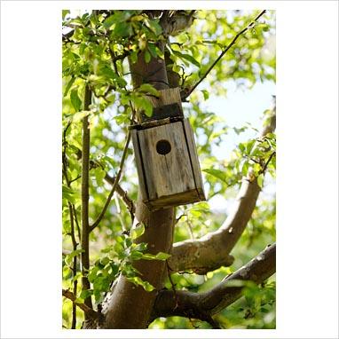 Lavori di Aprile e Maggio per Biodiversità Fai-da-te