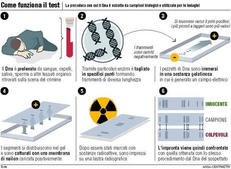 Riporto il seguente articolo:ROMA, 1 MARZO – I criminolog...