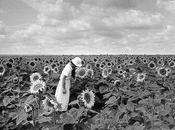 problema guardare, vedere: Boubat