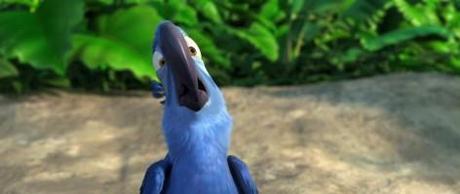 Rio – un pappagallo tutto blu