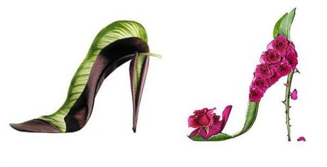 shoes or flowers?