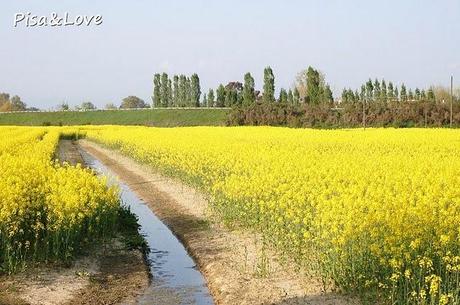 Una stagione: la primavera #4