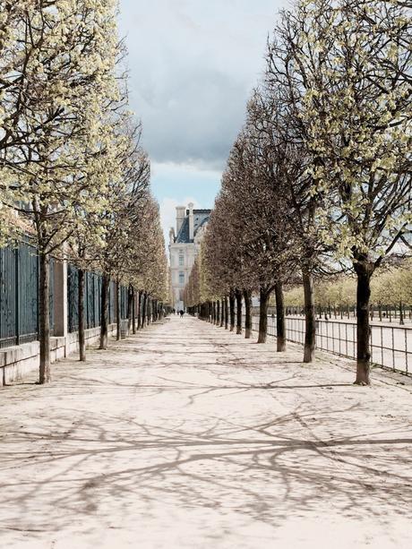 PARIGI D’INVERNO, TRA MUSEI, BISTROT ED UN ABBRACCIO D’AMORE PARIGI D’INVERNO, TRA MUSEI, BISTROT ED UN ABBRACCIO D’AMORE