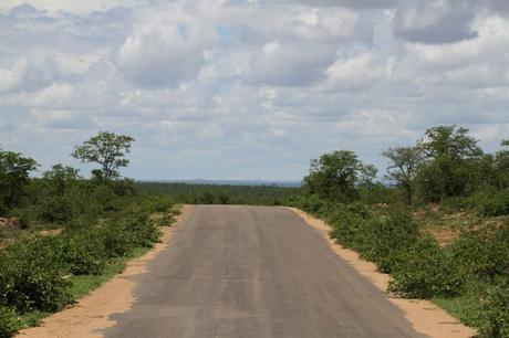 Sudafrica: safari al Parco Kruger consigli utili Sudafrica: safari al Parco Kruger consigli utili